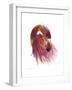 Flamingo Colors 2-Mark Ashkenazi-Framed Giclee Print