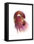 Flamingo Colors 2-Mark Ashkenazi-Framed Stretched Canvas