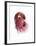 Flamingo Colors 2-Mark Ashkenazi-Framed Giclee Print