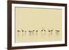 Flamingo Community-Staffan Widstrand-Framed Giclee Print