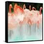 Flamingo Dance-Dan Meneely-Framed Stretched Canvas