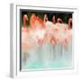 Flamingo Dance-Dan Meneely-Framed Art Print