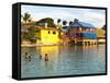 Flamingo Divi Beach Resort, Bonaire, Netherlands Antilles, Caribbean-Michael DeFreitas-Framed Stretched Canvas