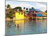 Flamingo Divi Beach Resort, Bonaire, Netherlands Antilles, Caribbean-Michael DeFreitas-Mounted Photographic Print