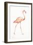 Flamingo Duo I-Tiffany Hakimipour-Framed Art Print