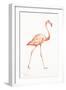 Flamingo Duo I-Tiffany Hakimipour-Framed Art Print