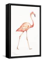 Flamingo Duo I-Tiffany Hakimipour-Framed Stretched Canvas