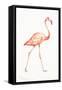 Flamingo Duo I-Tiffany Hakimipour-Framed Stretched Canvas