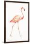 Flamingo Duo I-Tiffany Hakimipour-Framed Art Print