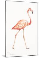 Flamingo Duo I-Tiffany Hakimipour-Mounted Art Print