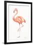 Flamingo Duo II-Tiffany Hakimipour-Framed Art Print