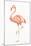 Flamingo Duo II-Tiffany Hakimipour-Mounted Art Print