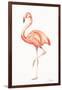 Flamingo Duo II-Tiffany Hakimipour-Framed Art Print