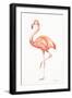 Flamingo Duo II-Tiffany Hakimipour-Framed Art Print