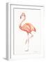 Flamingo Duo II-Tiffany Hakimipour-Framed Art Print