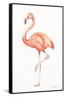 Flamingo Duo II-Tiffany Hakimipour-Framed Stretched Canvas