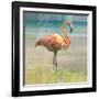 Flamingo Fancy I-null-Framed Art Print