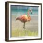 Flamingo Fancy I-null-Framed Art Print