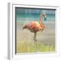 Flamingo Fancy I-null-Framed Art Print