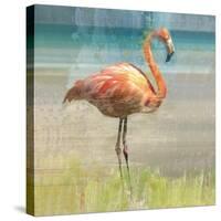 Flamingo Fancy I-null-Stretched Canvas