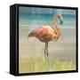 Flamingo Fancy I-null-Framed Stretched Canvas