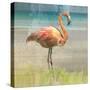 Flamingo Fancy I-null-Stretched Canvas