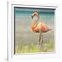 Flamingo Fancy II-null-Framed Art Print