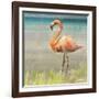 Flamingo Fancy II-null-Framed Art Print