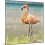 Flamingo Fancy II-null-Mounted Art Print