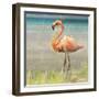 Flamingo Fancy II-null-Framed Art Print