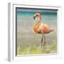 Flamingo Fancy II-null-Framed Art Print