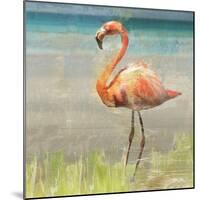 Flamingo Fancy II-null-Mounted Art Print