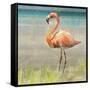 Flamingo Fancy II-null-Framed Stretched Canvas