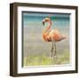 Flamingo Fancy II-null-Framed Art Print