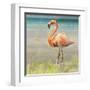 Flamingo Fancy II-null-Framed Art Print