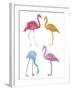 Flamingo Fandango I-Sandra Jacobs-Framed Giclee Print