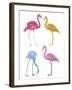 Flamingo Fandango I-Sandra Jacobs-Framed Giclee Print