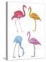 Flamingo Fandango I-Sandra Jacobs-Stretched Canvas