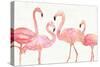 Flamingo Fever I no Splatter-Anne Tavoletti-Stretched Canvas