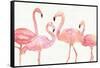 Flamingo Fever I no Splatter-Anne Tavoletti-Framed Stretched Canvas