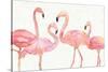 Flamingo Fever I no Splatter-Anne Tavoletti-Stretched Canvas