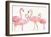 Flamingo Fever I no Splatter-Anne Tavoletti-Framed Art Print