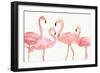 Flamingo Fever I no Splatter-Anne Tavoletti-Framed Art Print