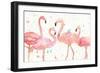 Flamingo Fever I-Anne Tavoletti-Framed Art Print