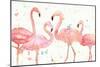 Flamingo Fever I-Anne Tavoletti-Mounted Art Print