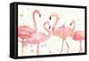Flamingo Fever I-Anne Tavoletti-Framed Stretched Canvas