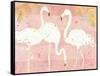 Flamingo Fever IV-Anne Tavoletti-Framed Stretched Canvas