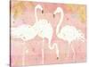 Flamingo Fever IV-Anne Tavoletti-Stretched Canvas