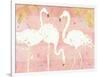 Flamingo Fever IV-Anne Tavoletti-Framed Art Print