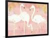 Flamingo Fever IV-Anne Tavoletti-Framed Art Print